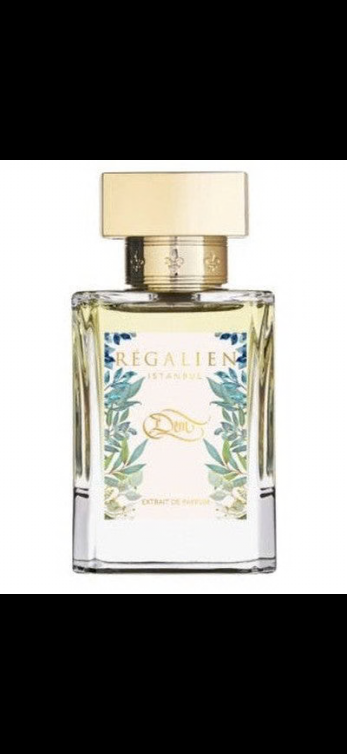 Dem regalien